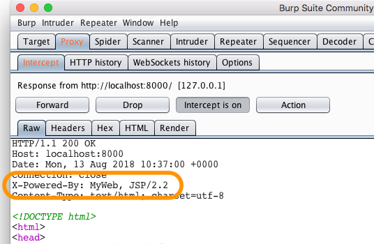 Replacing a response header in Burp Suite