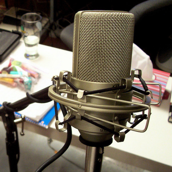 The MXL 990 XLR Microphone